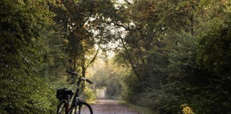Nederlanders kiezen steeds vaker voor duurdere fiets Nederlanders kiezen steeds vaker voor duurdere fiets
