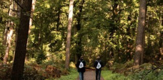 Groene Buizerd presenteert: bierwandelingen Groene Buizerd presenteert: bierwandelingen door de Nederlandse natuur.