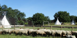 Camping Roussel Anders kamperen in zonnig Frankrijk Camping Roussel Anders kamperen in zonnig Frankrijk