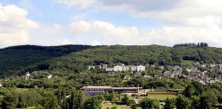 Camping Cochem in de directe omgeving van de Moezel Camping Cochem in de prachtige natuur van de Moezelwijngaarden