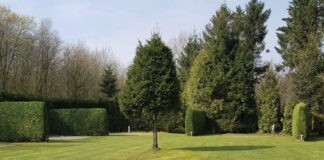 Camping Westenenk – Kamperen, B&B en Logies Camping Westenenk - Kamperen, B&B en Logies