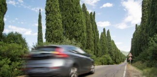 BOVAG – Veertig procent doet een vakantiecheck BOVAG - Veertig procent doet een vakantiecheck