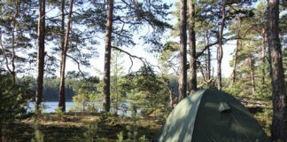 7 gezondheidsvoordelen van kamperen 7 gezondheidsvoordelen van kamperen