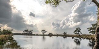 6 Van de leukste uitjes in het Hart van Drenthe 6 Van de leukste uitjes in het Hart van Drenthe