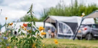 Ontdek Boerderijcamping Het Varsenerveld Ontdek Boerderijcamping Het Varsenerveld