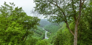 Hiken en eco adresjes in de Franse Ardennen Hiken en eco adresjes in de Franse Ardennen