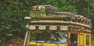 Over Bruggen – Dwars door de Amazone Over Bruggen - Dwars door de Amazone
