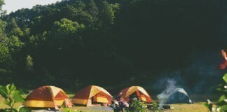 Nederland Europees koploper met aantal campings Nederland Europees koploper met aantal campings