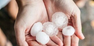 Schadepost door hagel kan oplopen tot €10.000 Schadepost door hagel kan oplopen tot €10.000