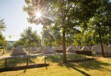 Kampeerder Horst: jouw betrouwbare partner voor kampeertentverhuur Kampeerder Horst: jouw betrouwbare partner voor kampeertentverhuur