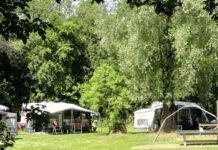 Camping De Knieplanden: rust, natuur én zwembad Camping De Knieplanden: rust, natuur én zwembad