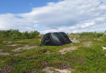 Kamperen reset letterlijk je biologische klok Kamperen reset letterlijk je biologische klok