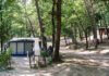 Camping Pian di Boccio: kamperen in het hart van Umbrië Camping Pian di Boccio: kamperen in het hart van Umbrië