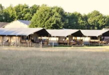 Glampen in de natuur bij Glamping Mooirust Glampen in de natuur bij Glamping Mooirust