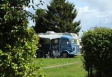 Campings beleefden recordjaar in 2025 Campings beleefden recordjaar in 2025