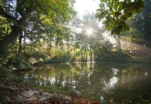Camping Visvijvers-Nukerke in de Vlaamse Ardennen Camping Visvijvers-Nukerke in de Vlaamse Ardennen