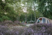 Camping Meuleman in het hart van Salland Camping Meuleman in het hart van Salland