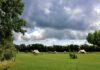 Camping de Terpen in het hart van Friesland Camping de Terpen in het hart van Friesland