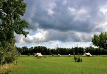 Camping de Terpen in het hart van Friesland Camping de Terpen in het hart van Friesland