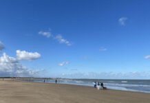 Ontdek de lente dichtbij én ver weg Ontdek de lente dichtbij én ver weg: van slow travel tot zonnige escapes