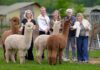 Broer en zus nemen FarmCamps over en zetten in op Europese groei Broer en zus nemen FarmCamps over en zetten in op Europese groei